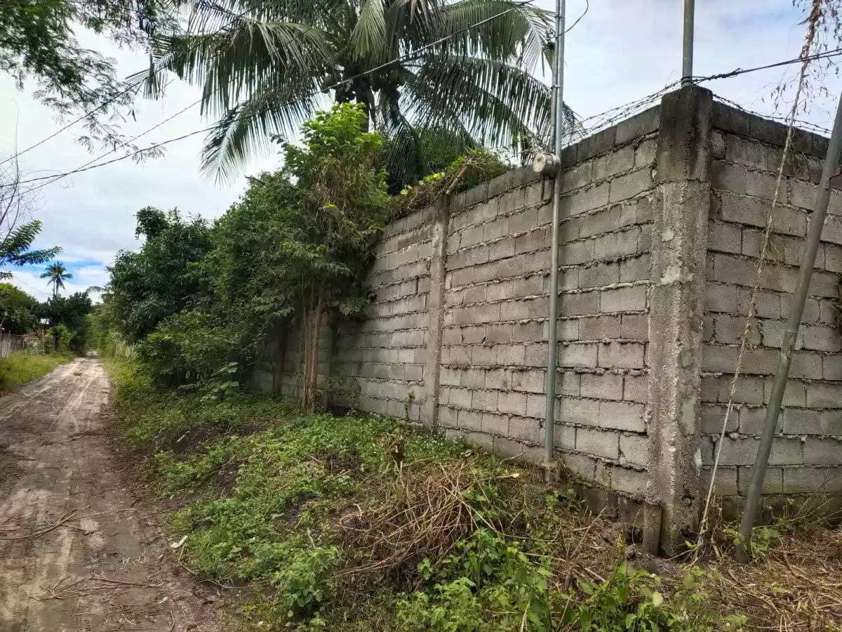 4-Hectare Farmland with Fruit-bearing Trees and River Access — Agricultural Lot in South Cotabato, Philippines — Photo 7