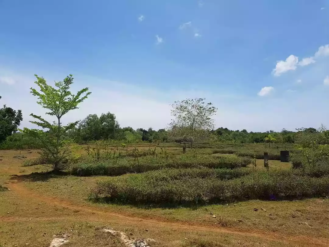 Lot For Sale  - photo 5