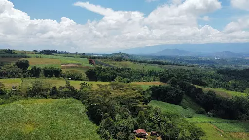 1.4 Hectare Farm Lot for Sale in Malaybalay city, Bukidnon — Agricultural Lot in Malaybalay, Bukidnon, Philippines — Photo 4