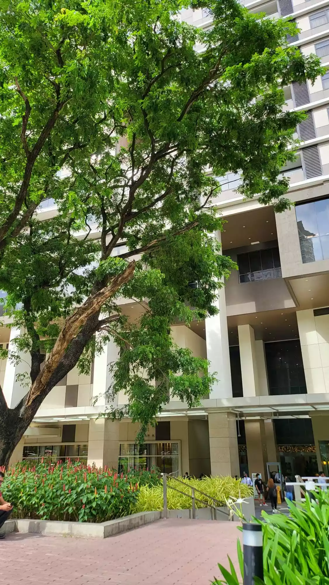 Open photo 14 of 21 — For sale 1 Bedroom unit in The Alcoves Ayala Cebu City