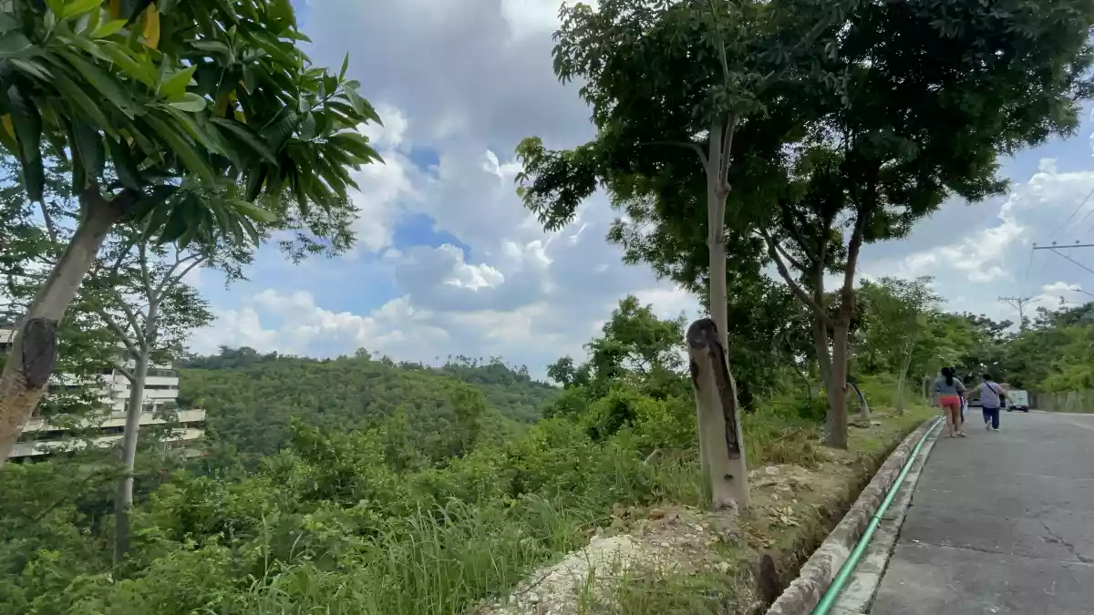 Lot for Sale in Maria Luisa Estate Park - photo 2