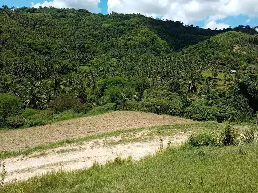Open photo 16 of 27 — Very rush sale farm lot
