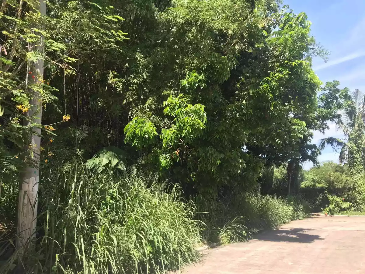 Vista La Playa Lot Only For Sale - photo 3