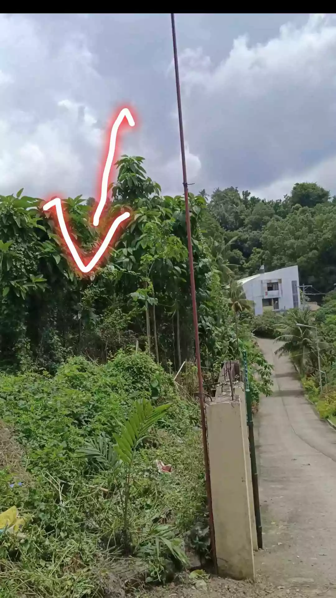 Titled Lot in Talisay For Sale — Residential Lot in Talisay, Cebu, Philippines — Photo 4