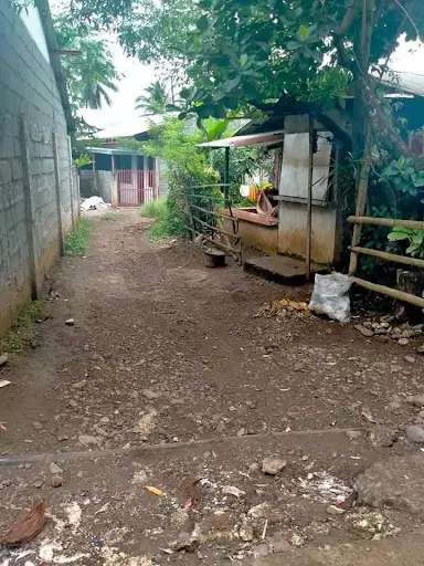 Residential lot for sale — Residential Lot in calinan, Davao City, Davao del Sur — Photo 4