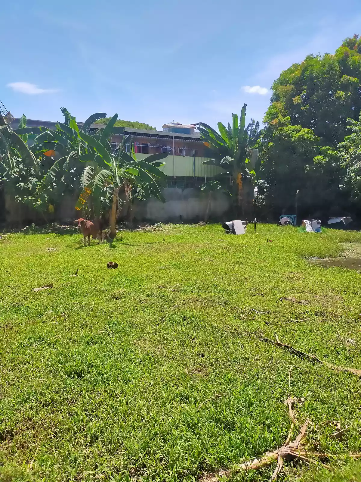 Insdustrial Lot for Sale - photo 6