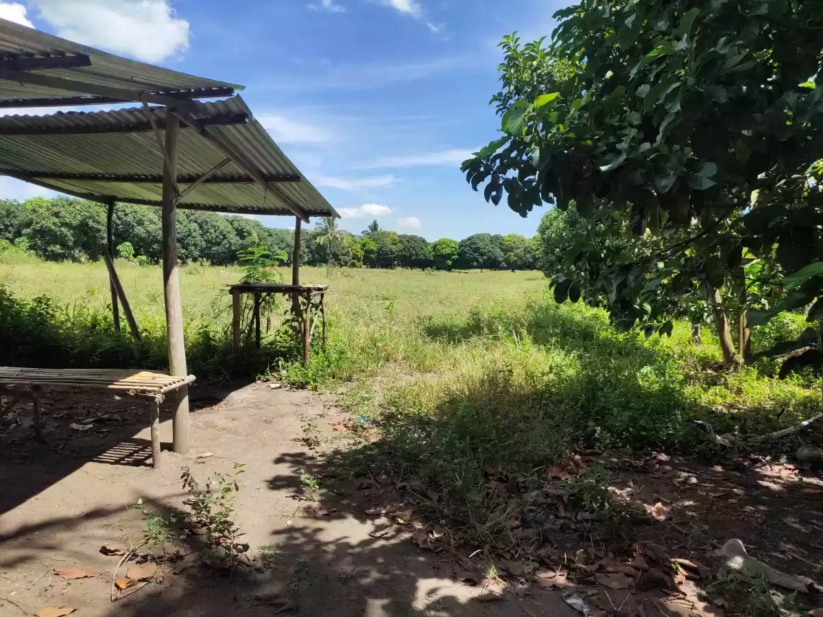 Agricultural Lot Situated at Silway 7, Polomolok, South Cotabato — Agricultural Lot in South Cotabato, Philippines — Photo 4