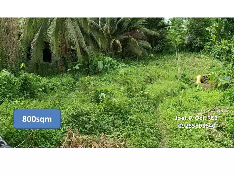 For Sale: LOT ( classified as commercial & residential ) along main highway at Samal Island Davao — Commercial Lot in Samal, Island Garden City of Samal, Davao del Norte — Photo 5