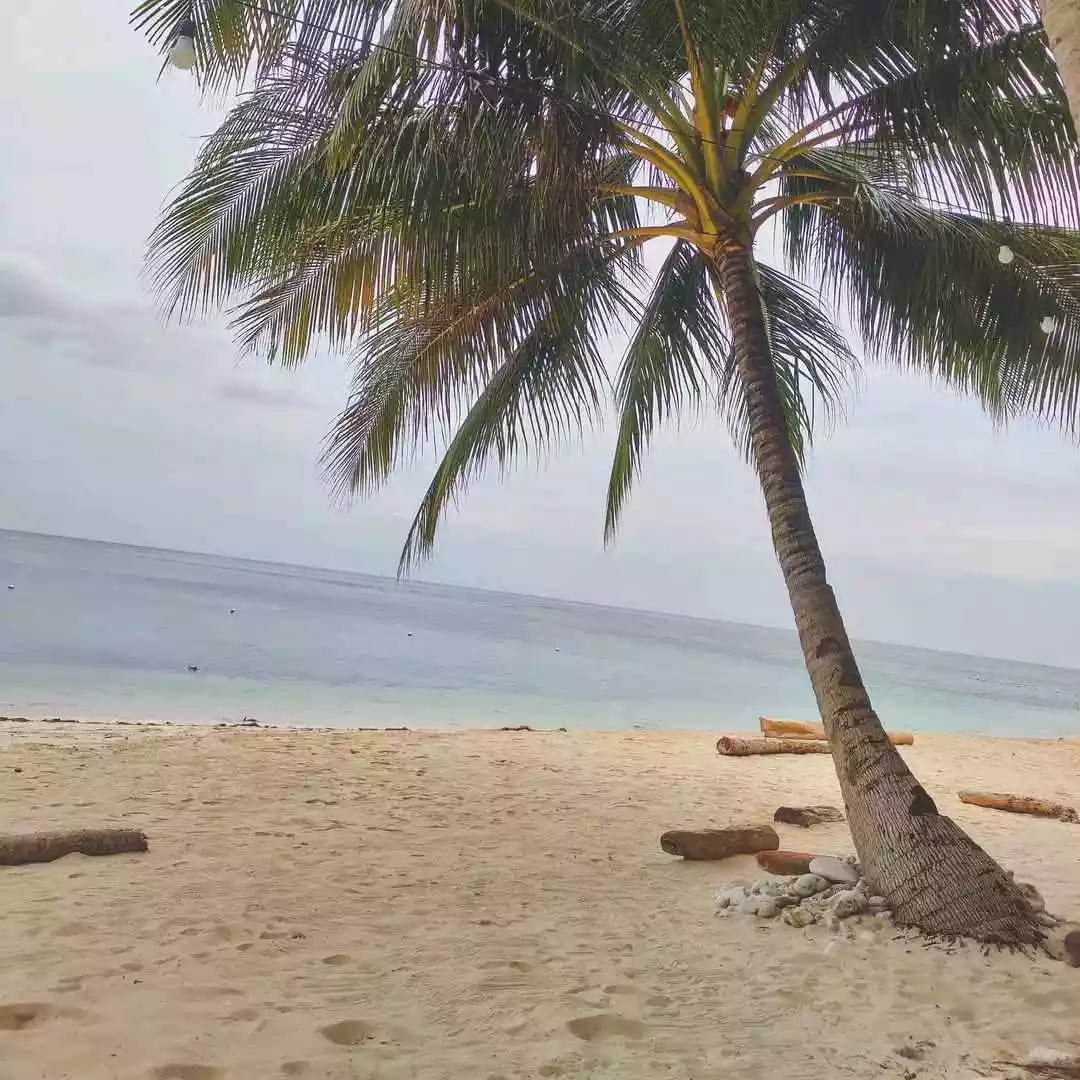 Prestine Beach Lot For Sale with shoreline - photo 5