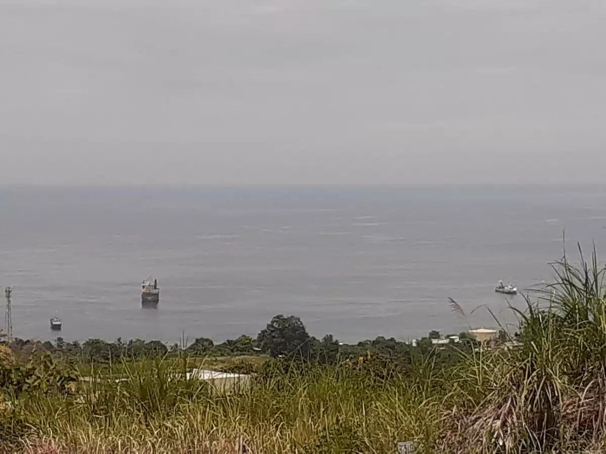 Residential lot / Teakwood Subdivision 2 lot ( adjacent lot ) - photo 5