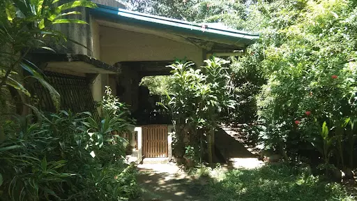 Titled — Agricultural Lot in Minglanilla, Cebu, Philippines — Photo 5
