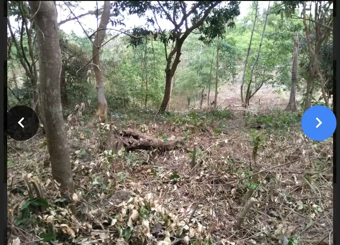 Lot Near The Beach in San Juan, Siquijor - photo 5