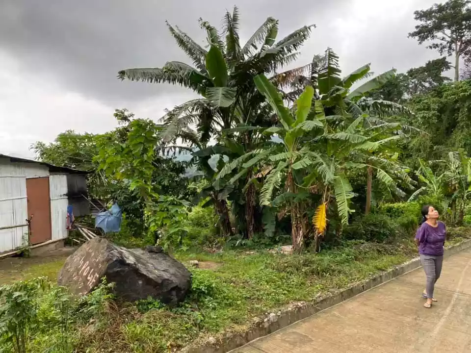 Lot for Hot Spring Resort — Agricultural Lot in Calamba, Laguna, Philippines — Photo 7