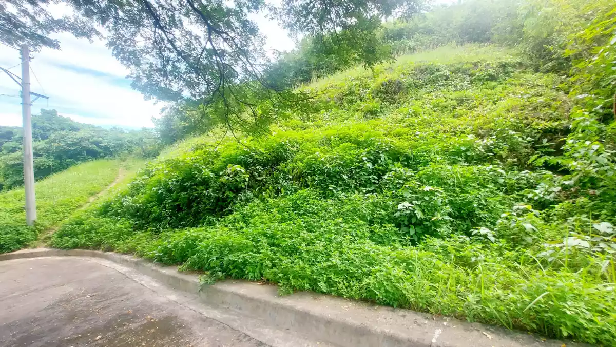 Residential Lots Adjascent for Sale in Aspen Heights Consolacion, Cebu — Residential Lot in Consolacion, Cebu, Philippines — Photo 6