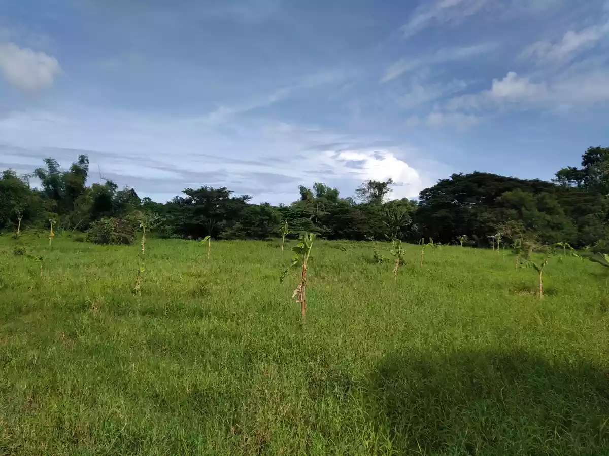 Affordable Industrial Lot - photo 4