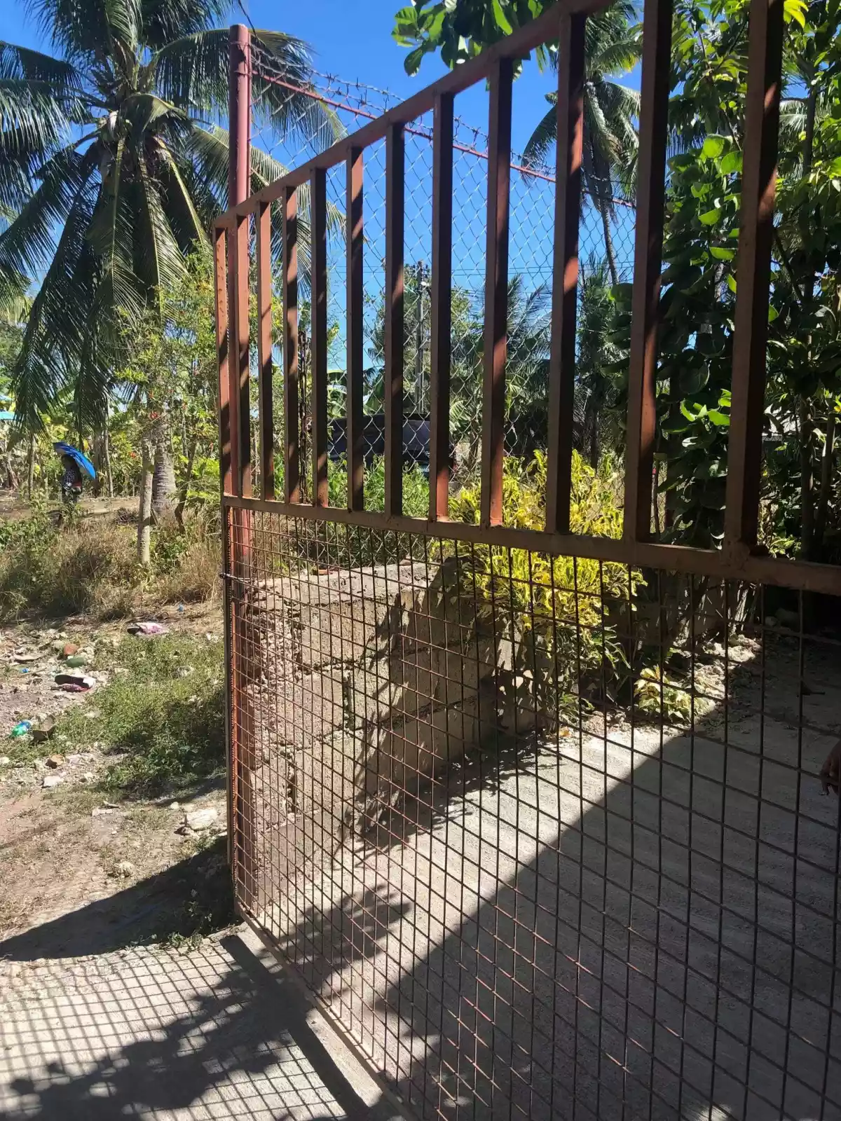 406 SQM IN NAGA CEBU - photo 7