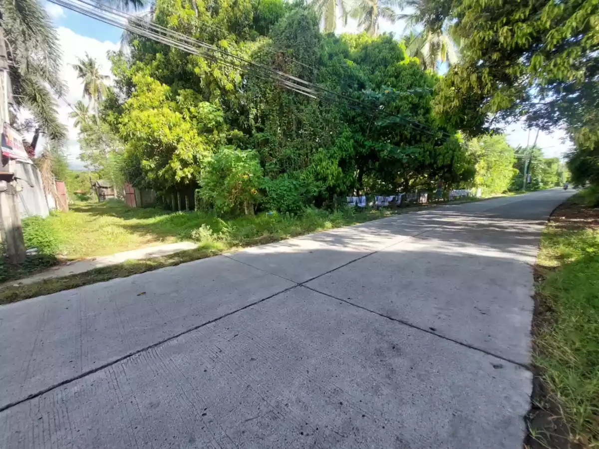 Open photo 15 of 26 — Farm Lot Convertible to Residential