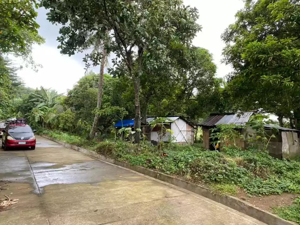 Lot for Hot Spring Resort — Agricultural Lot in Calamba, Laguna, Philippines — Photo 5