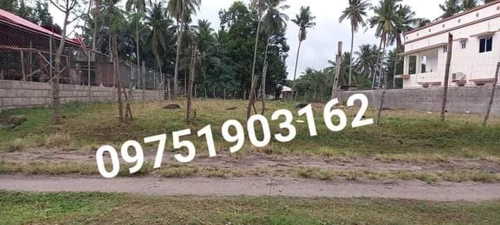 Affordable Clean title Lot for Sale in Talay, Dumaguete City — Agricultural Lot in Negros Oriental, Philippines — Photo 3