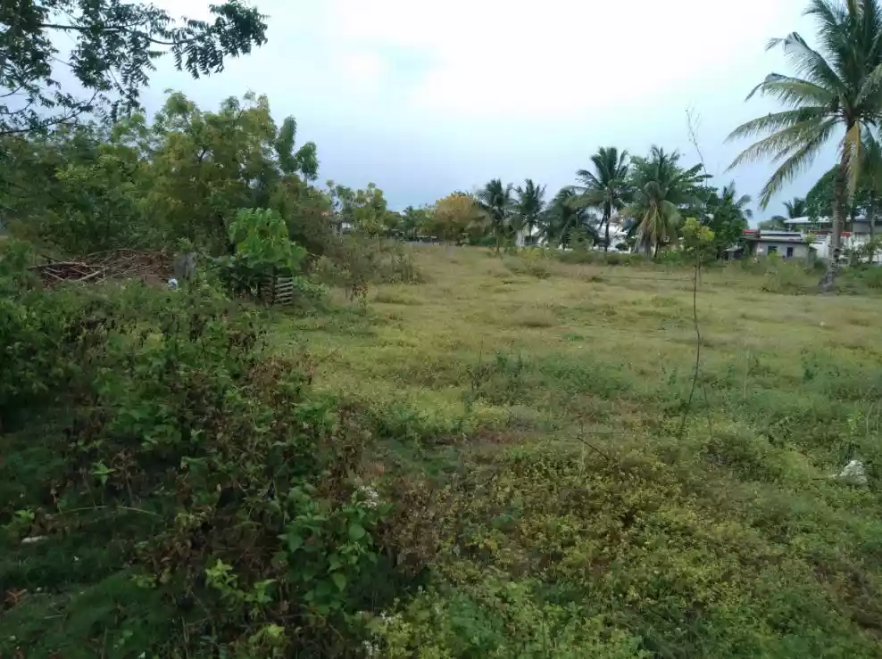Lot only in Sta Fe Bantayan Island For Sale — Residential Lot in Santa Fe, Cebu, Philippines — Photo 3