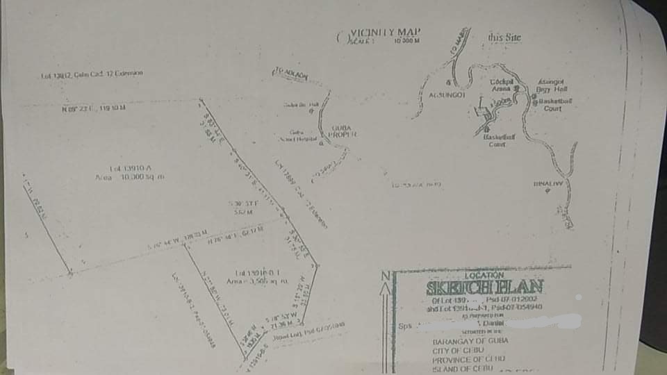TITLED LOT with 8 mango trees ang 20 Santol trees — Agricultural Lot in Cebu City, Cebu, Philippines — Photo 6
