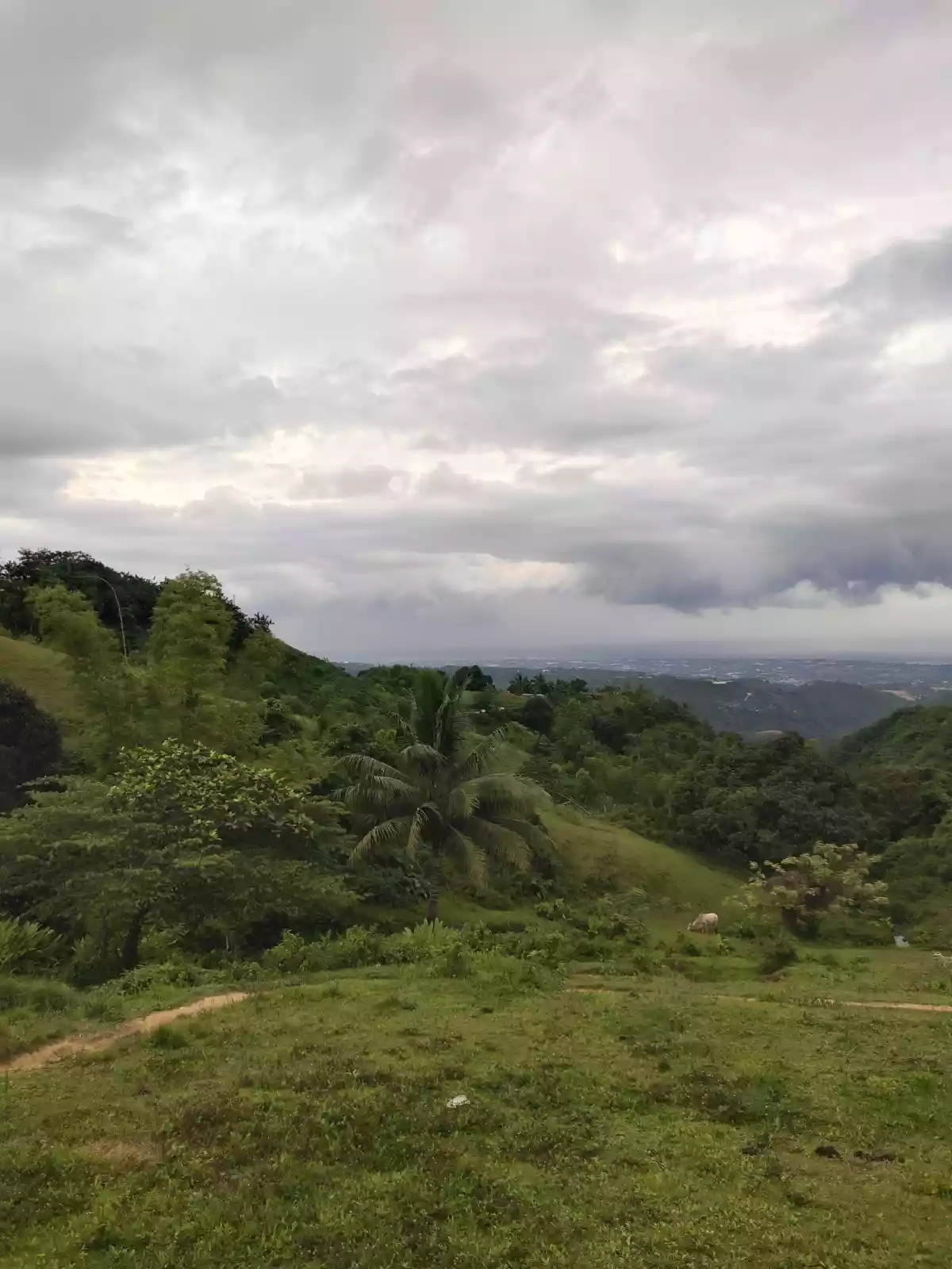 Titled lot - photo 3