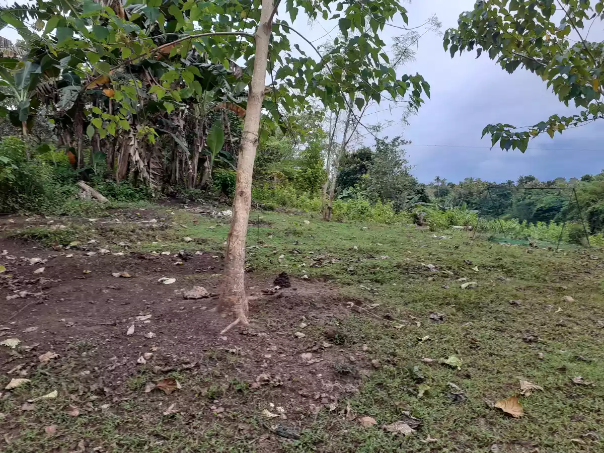 Residential Lot for sale @ indahag straight ultrawind 3,515sqm — Residential Lot in Cagayan de Oro, Misamis Oriental, Philippines — Photo 7
