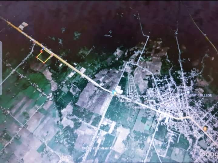Agricultural Land For Sale in Dolo, Bansalan - photo 7
