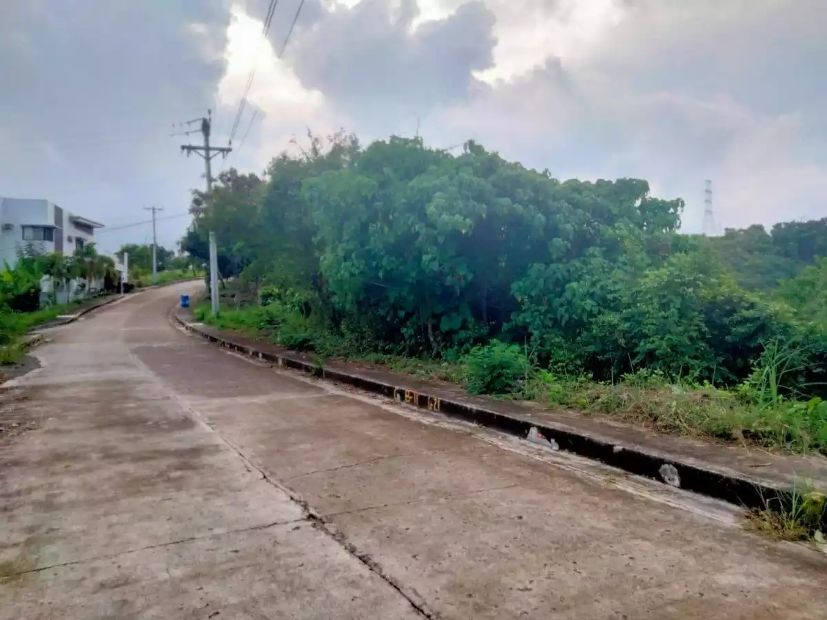 LOT for Sale in Vista Grande — Residential Lot in Rio de Janeiro Street, Talisay, Cebu — Photo 3