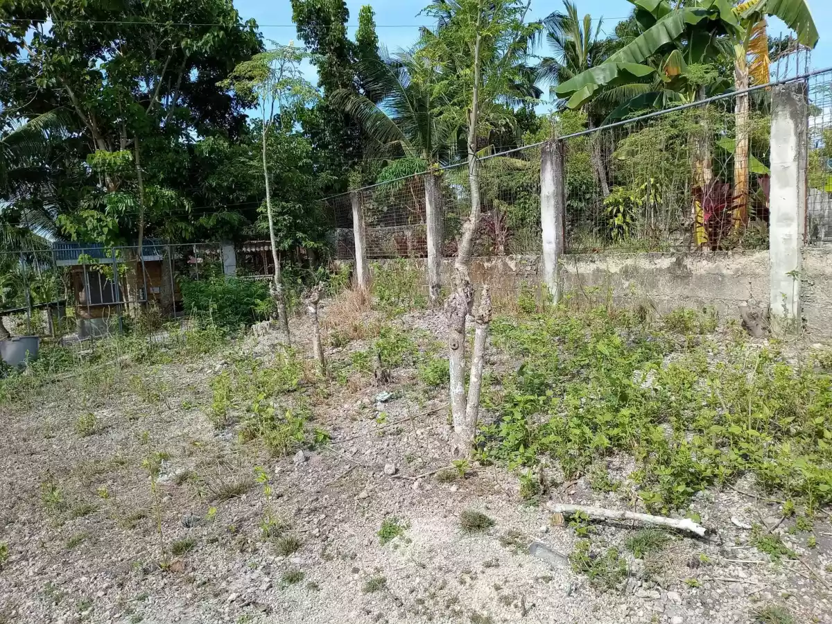 RESIDENTIAL LOT IN SAN FERNANDO, CEBU - photo 5