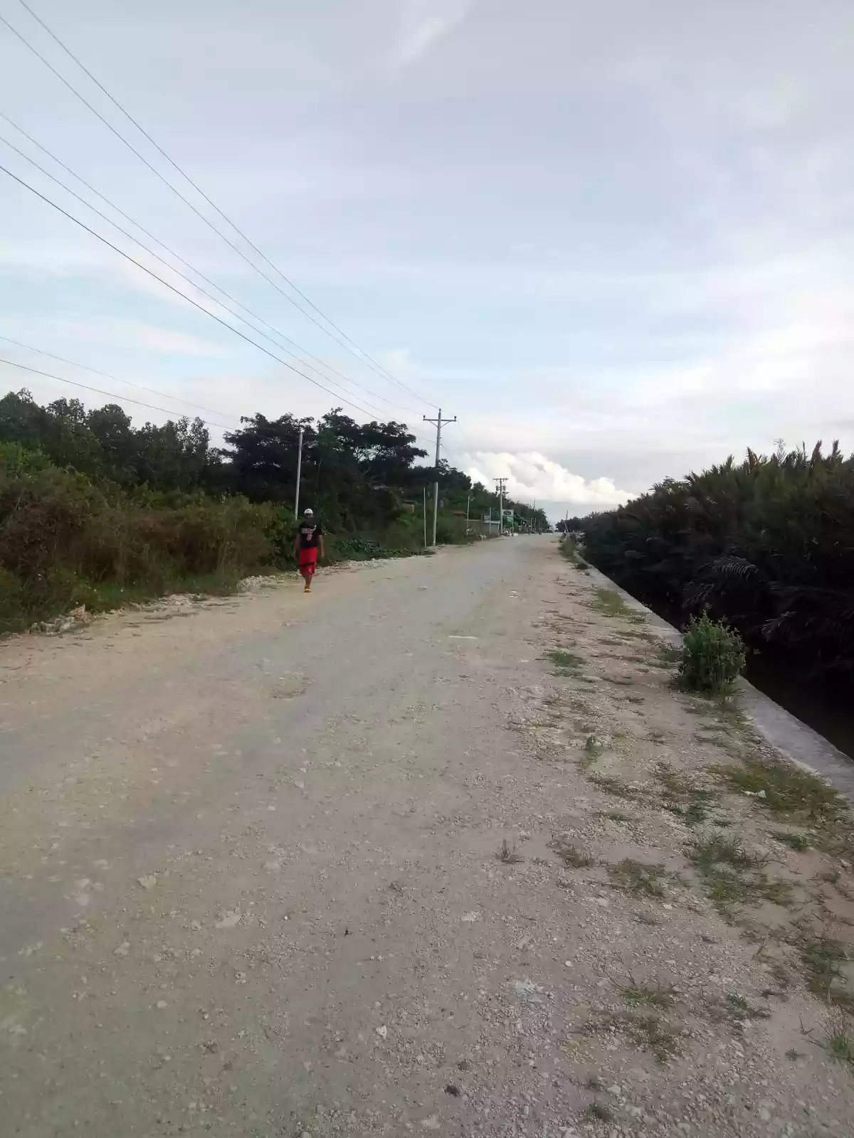 Lot for Sale in Carcar City - photo 3