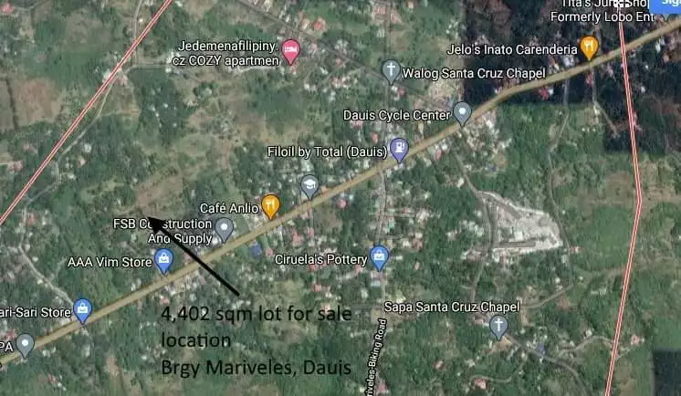 Lot For Sale Panglao Bohol - photo 2