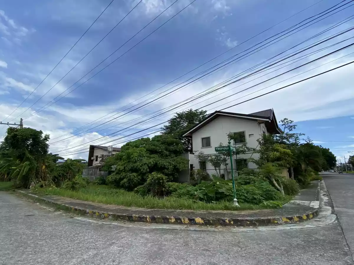 SACRIFICE SALE!!! CORNER LOT — Residential Lot in Monterosa Iloilo Residential Estate, Mandurriao, Iloilo City — Photo 2