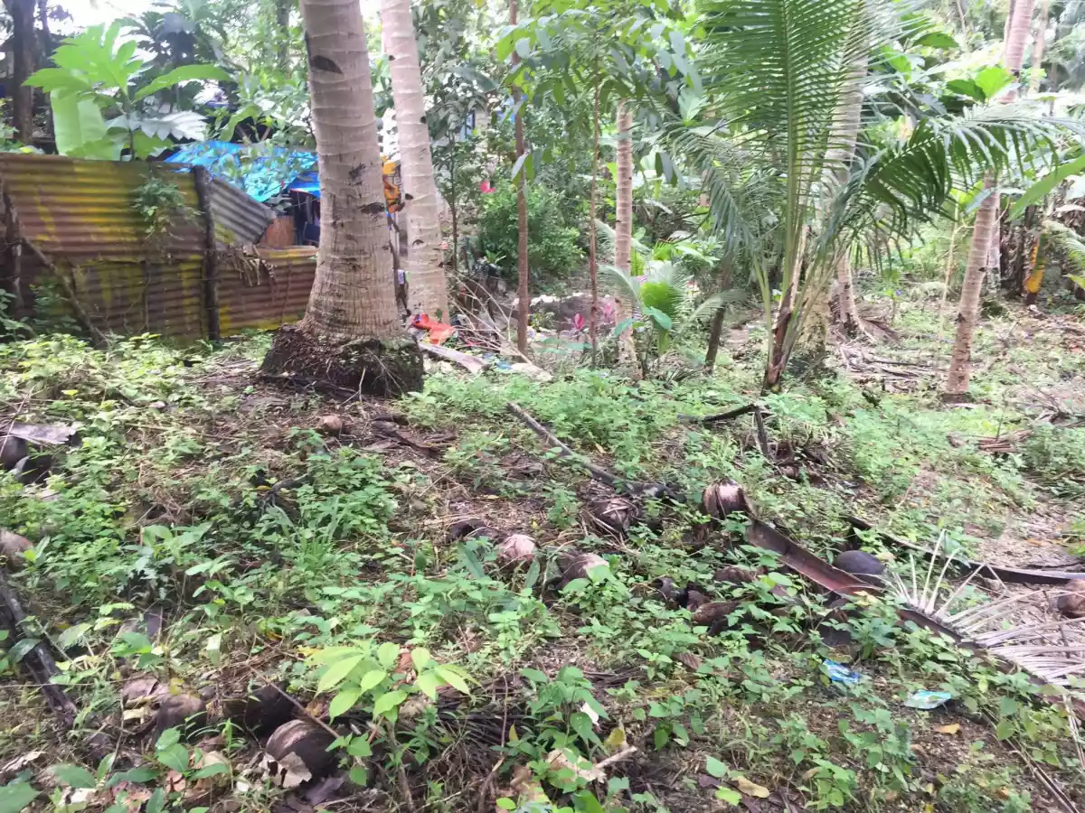 Residential Lot For Sale — Residential Lot in Asturias, Cebu, Philippines — Photo 6