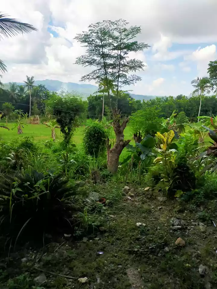 NEAR GRANDMALL CARCAR COMMERCIAL/RESIDENTIAL LOT — Commercial Lot in Carcar City, Cebu, Philippines — Photo 2