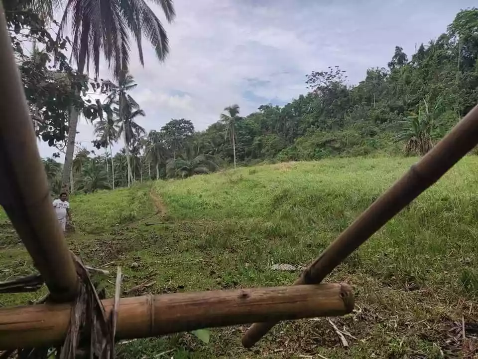 Agriculture Land for sale in Poro, Camotes, Cebu - photo 3