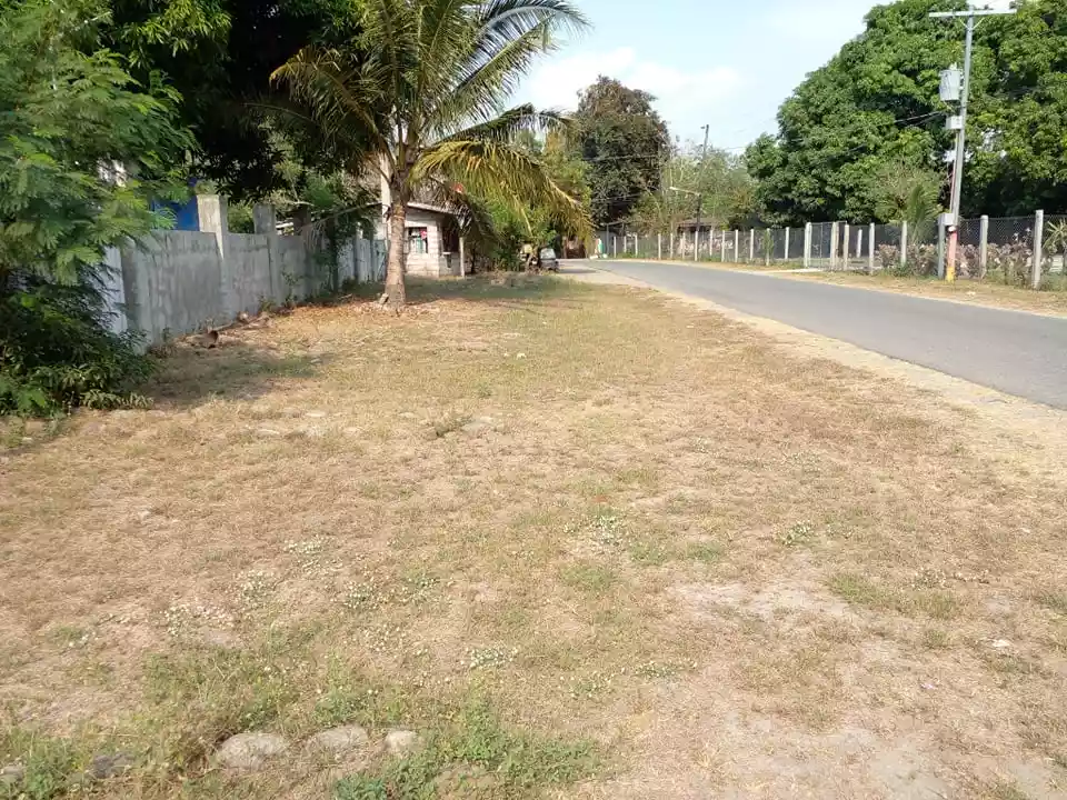 Zambales Developed 6.8 has fenced farm - exp to 10has — Agricultural Lot in Zambales, Philippines — Photo 3
