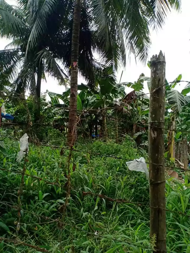 LOT FOR SALEâ—â— - photo 3