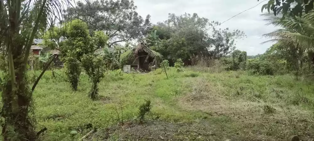 1000 Sqm Farm Lot - photo 6