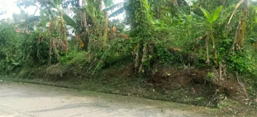 For Sale: 1,000sqm Lot in Buho Silang, Tagaytay Road – Near CALAX Exit — Residential Lot in Amadeo, Cavite, 4119 — Photo 3
