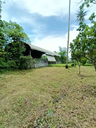 Ideal for mixed use — Commercial Lot in Panabo Circumferential Road, Tagum, Davao del Norte — Photo 5