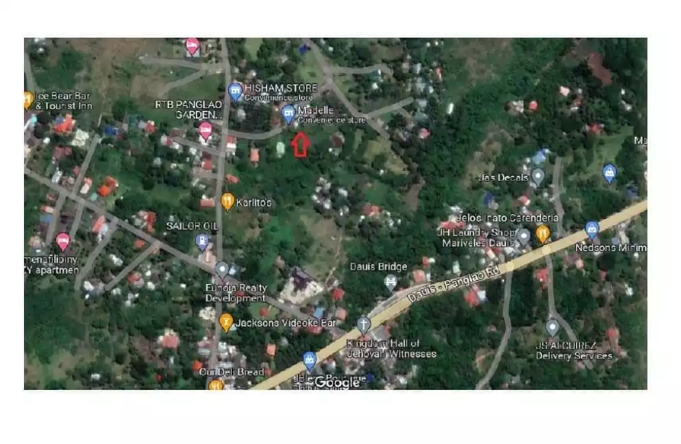 Residential Lot in Dauis - photo 2