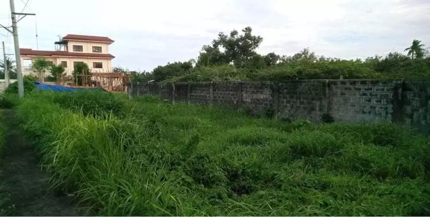 Corona Del Mar Lot for Sale — Residential Lot in Talisay, Cebu, Philippines — Photo 6