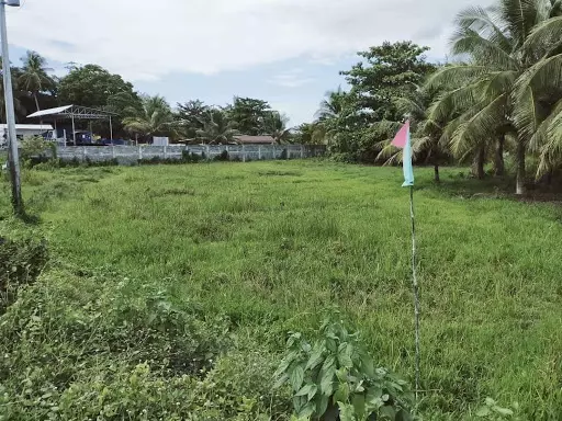 AGRICULTURAL LAND FOR SALE ?? — Agricultural Lot in Butuan City, Agusan Del Norte, Philippines — Photo 3