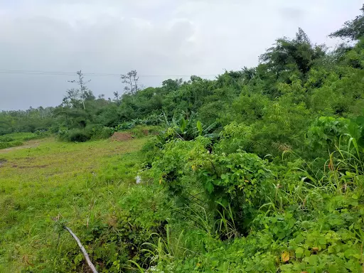 034 & 035 — Agricultural Lot in Naga, Camarines Sur, Philippines — Photo 4