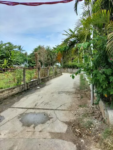 Open photo 16 of 19 — Commercial Lot for sale in Bohol