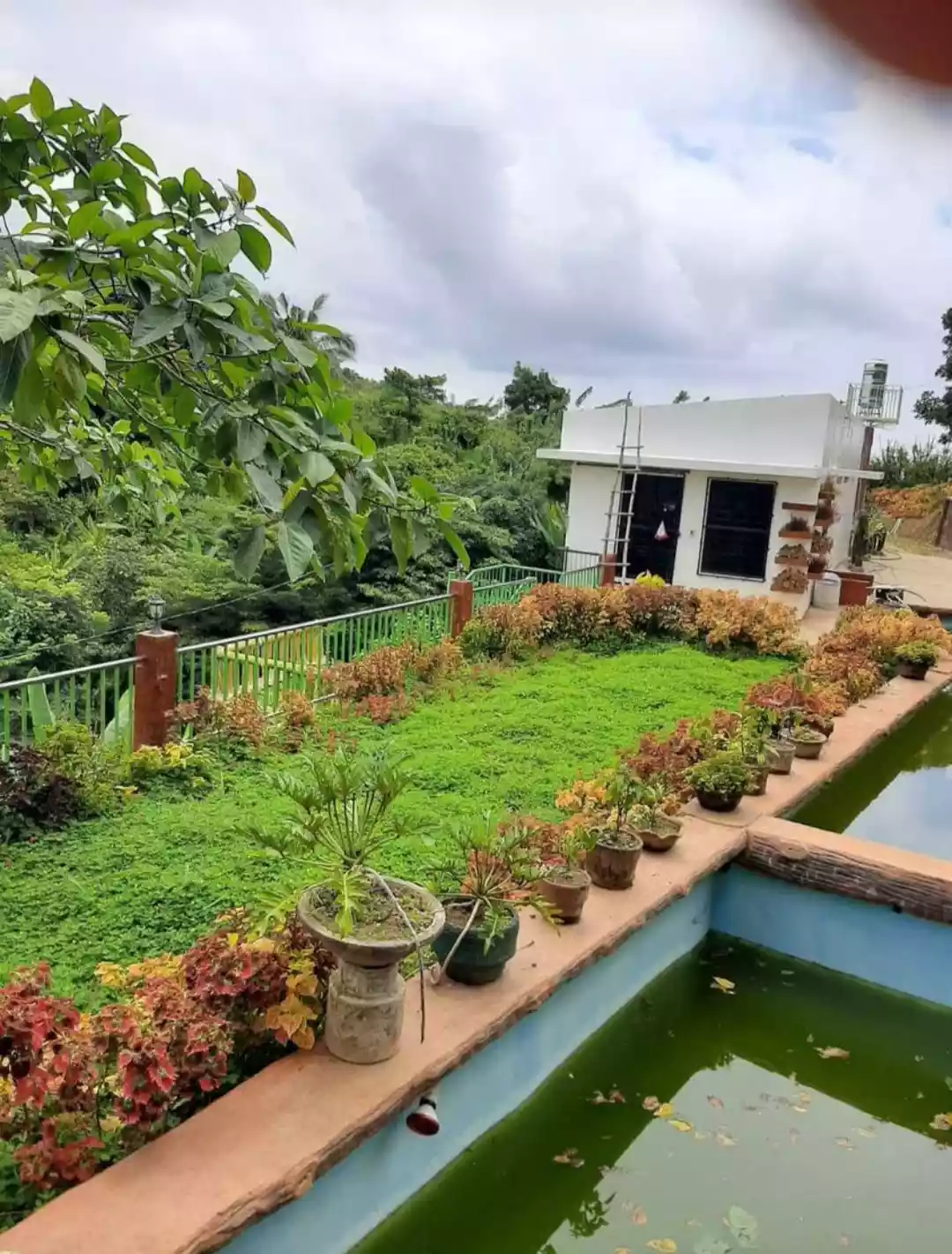 Farm Lot with 2Storey House in Balamban - photo 5