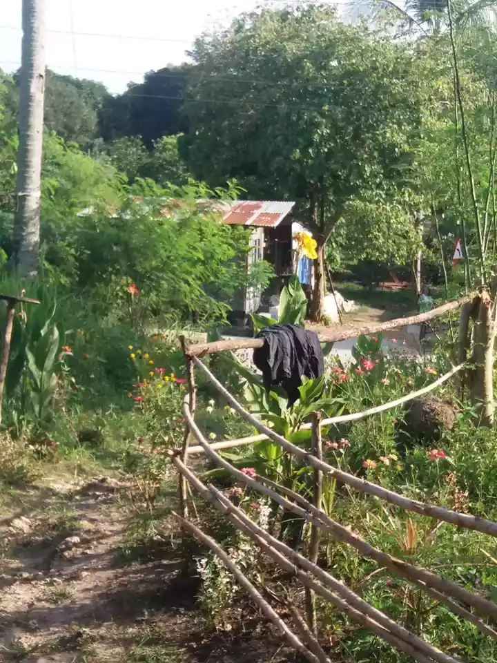 Samal Babak , Barangay Camudmud Property — Residential Lot in Babak, Island Garden City of Samal, Davao del Norte — Photo 5