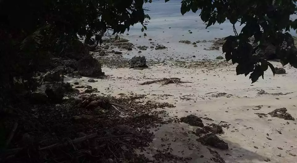 Beach lot  - photo 3