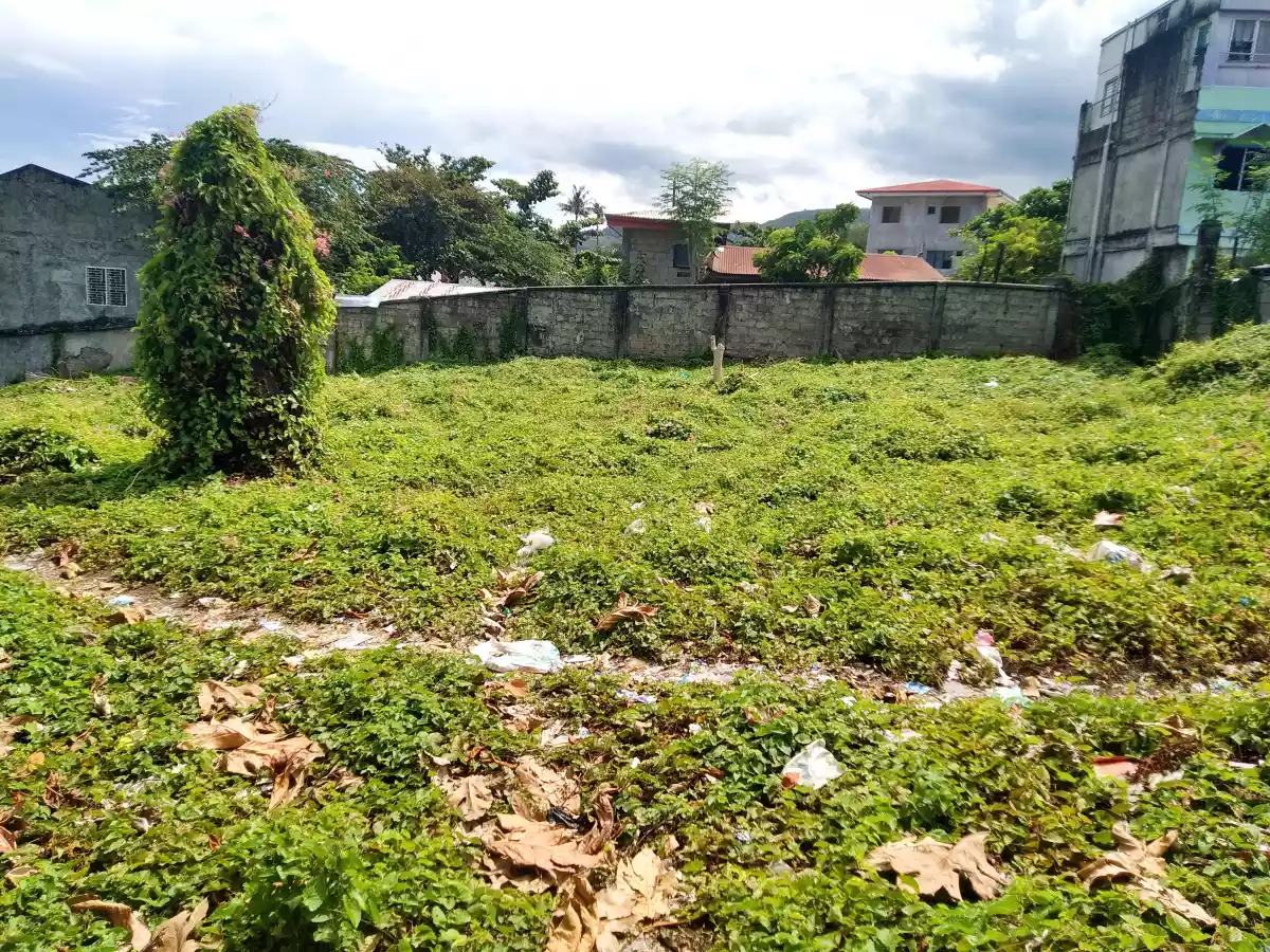 Prime Lot - photo 5